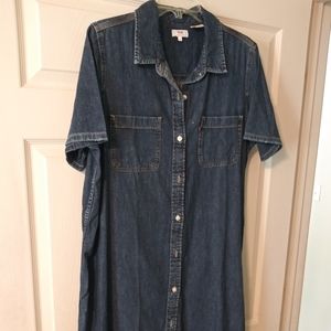 Ladies Levi's Denim Dress